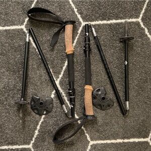 Black Diamond Alpine FLZ Trekking Poles with Cork Handles